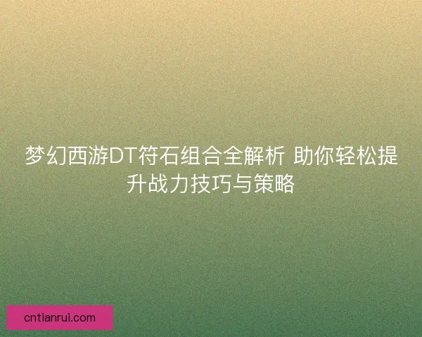 梦幻西游DT符石组合全解析 助你轻松提升战力技巧与策略